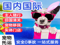 永州零陵机场物流国际宠物托运 【国